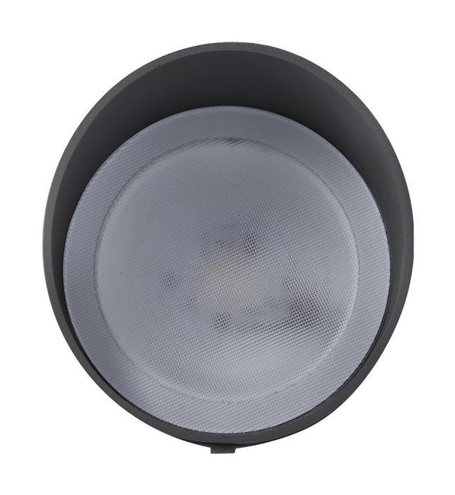 Nuvo Lighting 62-1207 LED Landscape Flood, Dark Gray