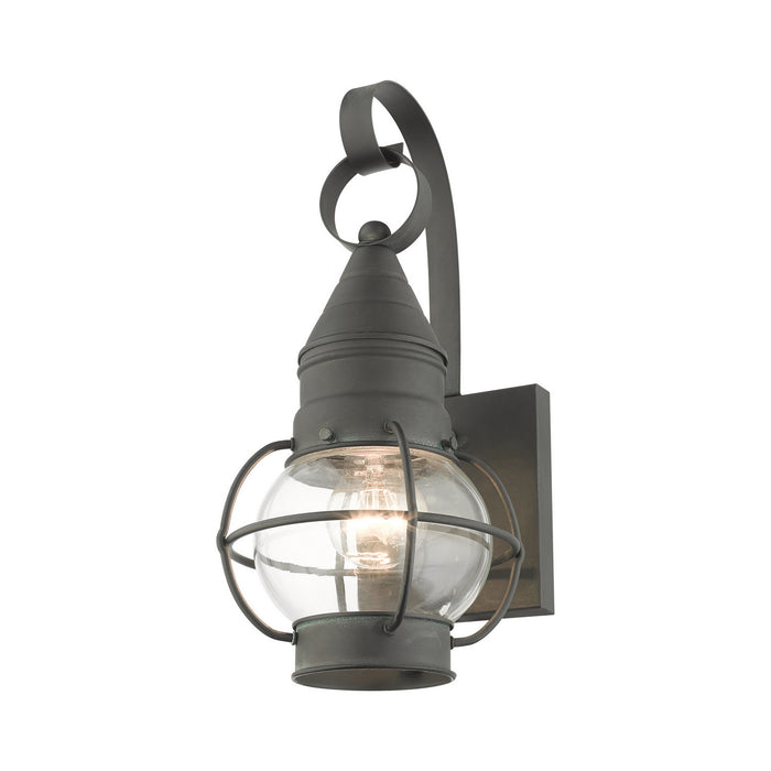 Livex Lighting 26900-61 One Light Outdoor Wall Lantern, Charcoal