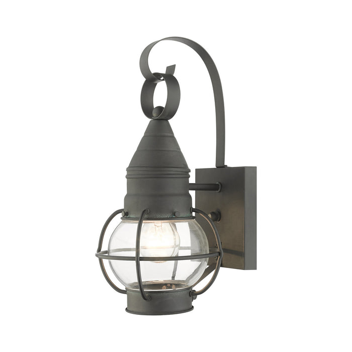 Livex Lighting 26900-61 One Light Outdoor Wall Lantern, Charcoal