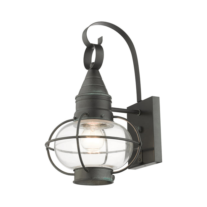 Livex Lighting 26901-61 One Light Outdoor Wall Lantern, Charcoal