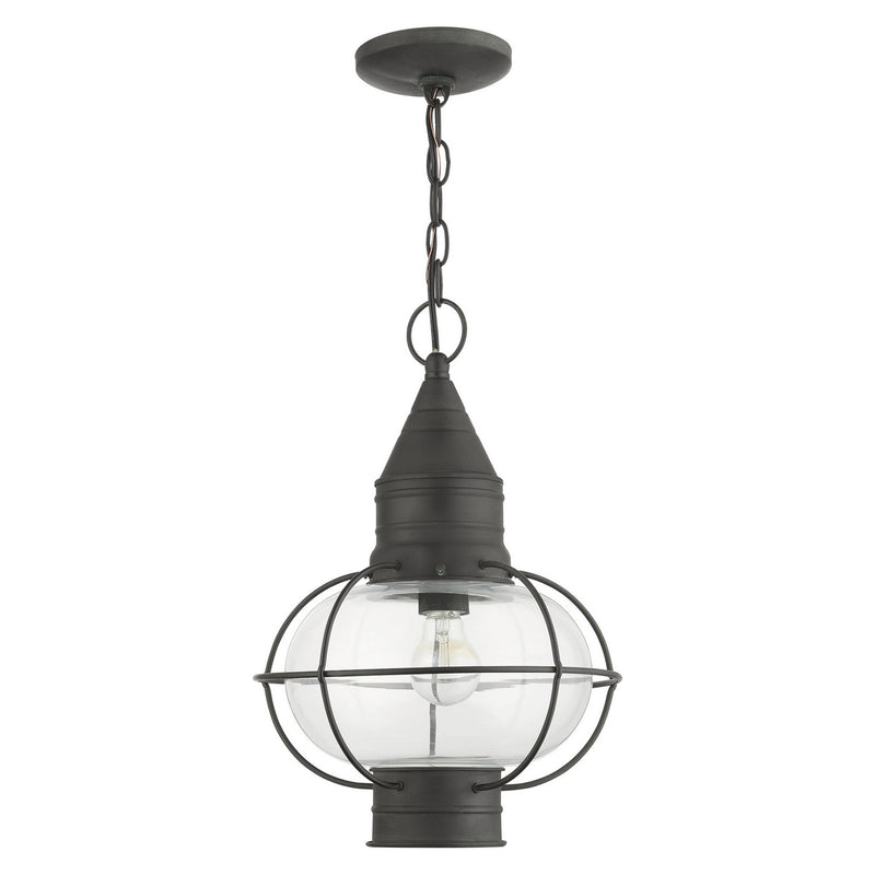 Livex Lighting 26906-61 One Light Outdoor Pendant, Charcoal