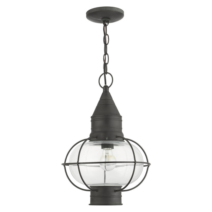Livex Lighting 26906-61 One Light Outdoor Pendant, Charcoal