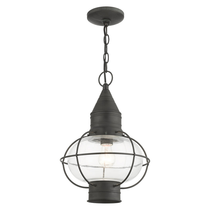 Livex Lighting 26906-61 One Light Outdoor Pendant, Charcoal