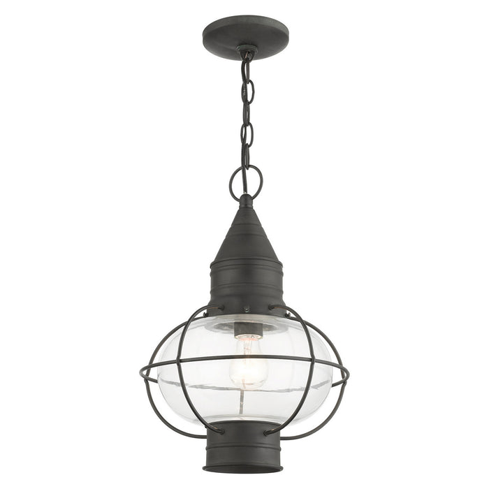 Livex Lighting 26906-61 One Light Outdoor Pendant, Charcoal
