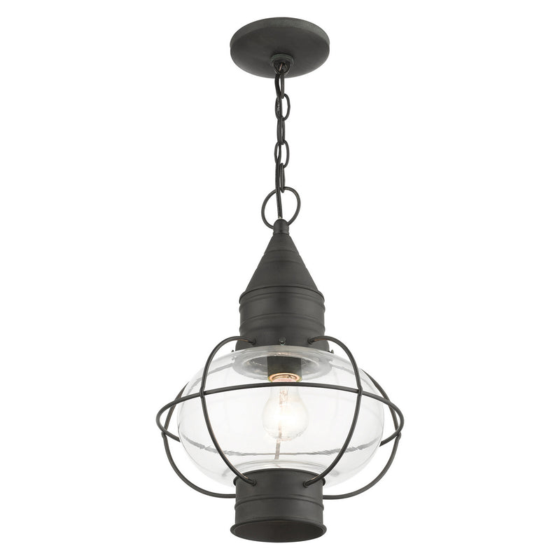 Livex Lighting 26906-61 One Light Outdoor Pendant, Charcoal