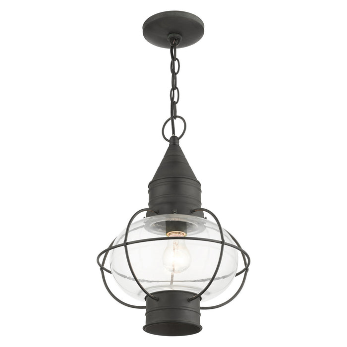 Livex Lighting 26906-61 One Light Outdoor Pendant, Charcoal