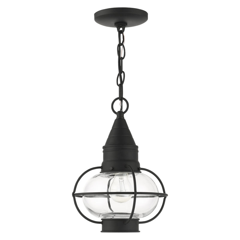 Livex Lighting 26910-04 One Light Outdoor Pendant, Black