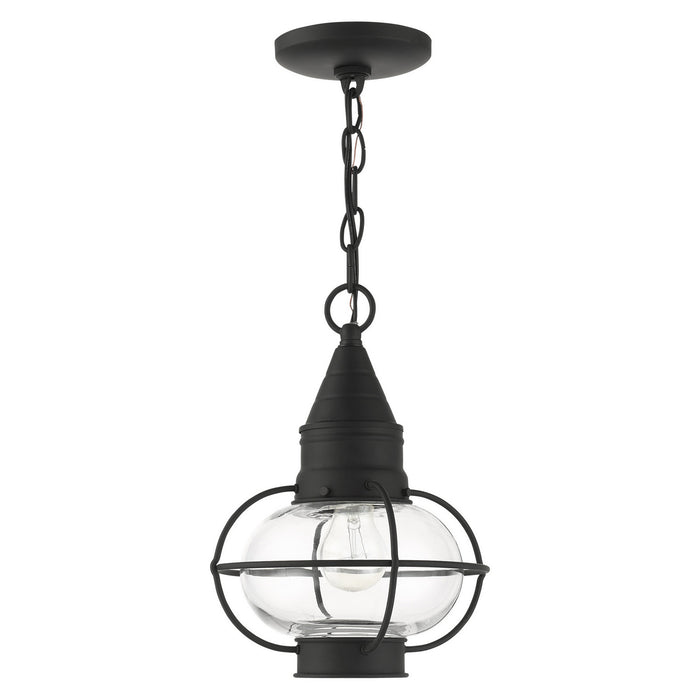 Livex Lighting 26910-04 One Light Outdoor Pendant, Black