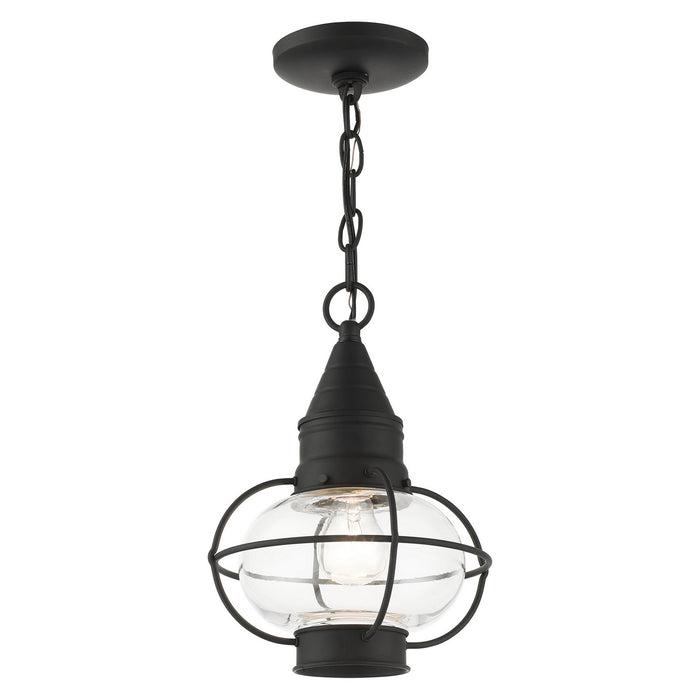 Livex Lighting 26910-04 One Light Outdoor Pendant, Black
