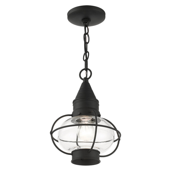 Livex Lighting 26910-04 One Light Outdoor Pendant, Black