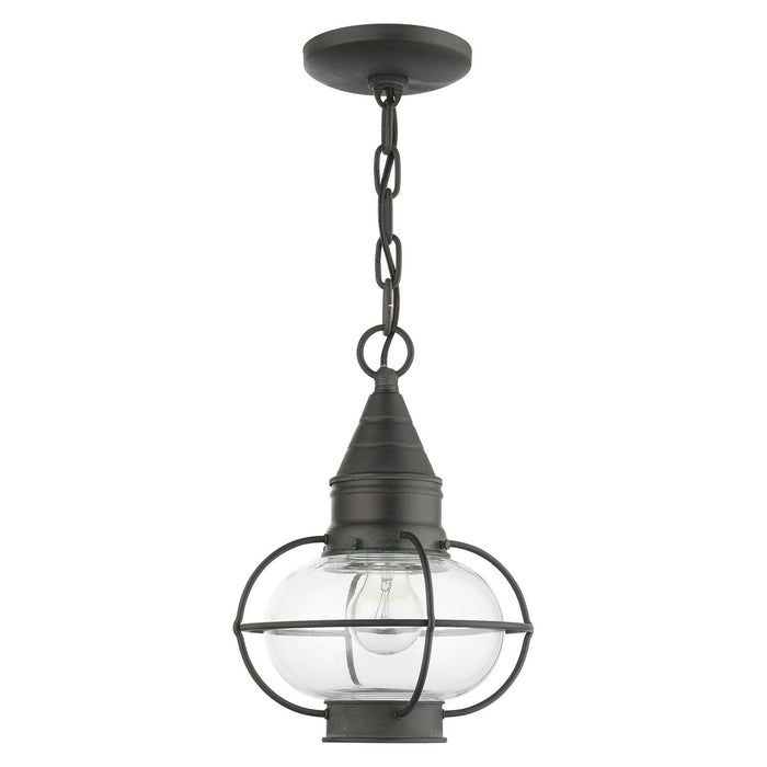 Livex Lighting 26910-61 One Light Outdoor Pendant, Charcoal