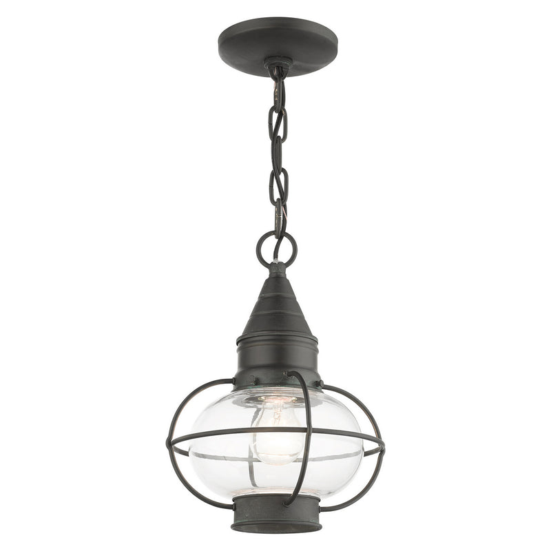 Livex Lighting 26910-61 One Light Outdoor Pendant, Charcoal
