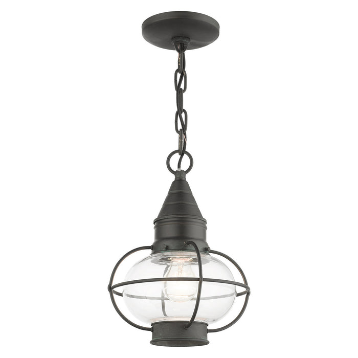 Livex Lighting 26910-61 One Light Outdoor Pendant, Charcoal
