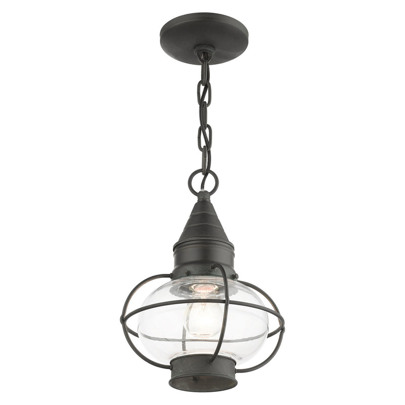Livex Lighting 26910-61 One Light Outdoor Pendant, Charcoal
