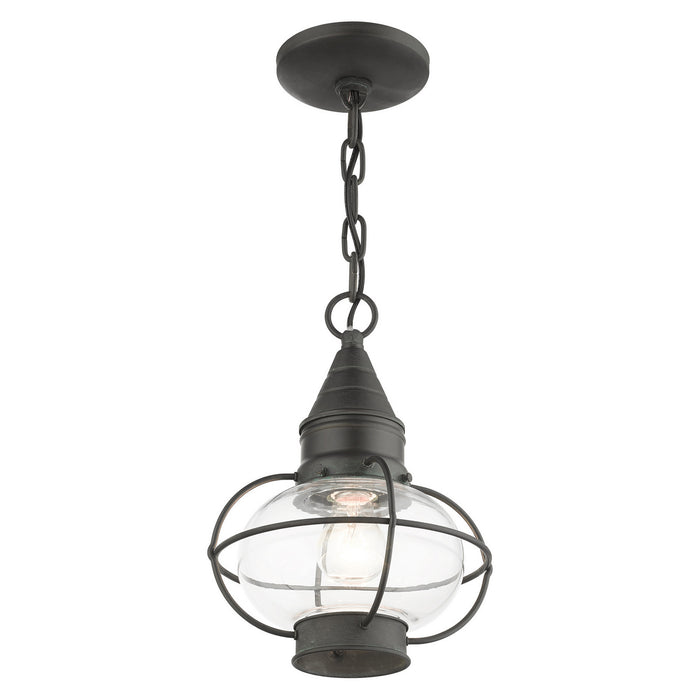 Livex Lighting 26910-61 One Light Outdoor Pendant, Charcoal
