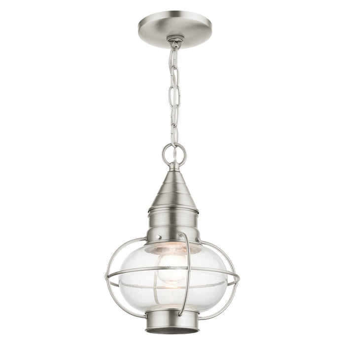 Livex Lighting 26910-91 One Light Outdoor Pendant, Brushed Nickel