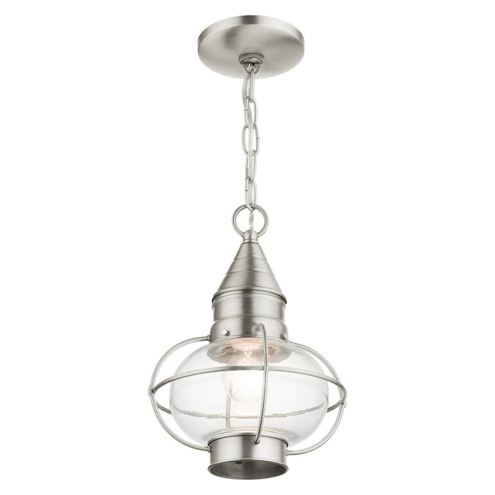 Livex Lighting 26910-91 One Light Outdoor Pendant, Brushed Nickel
