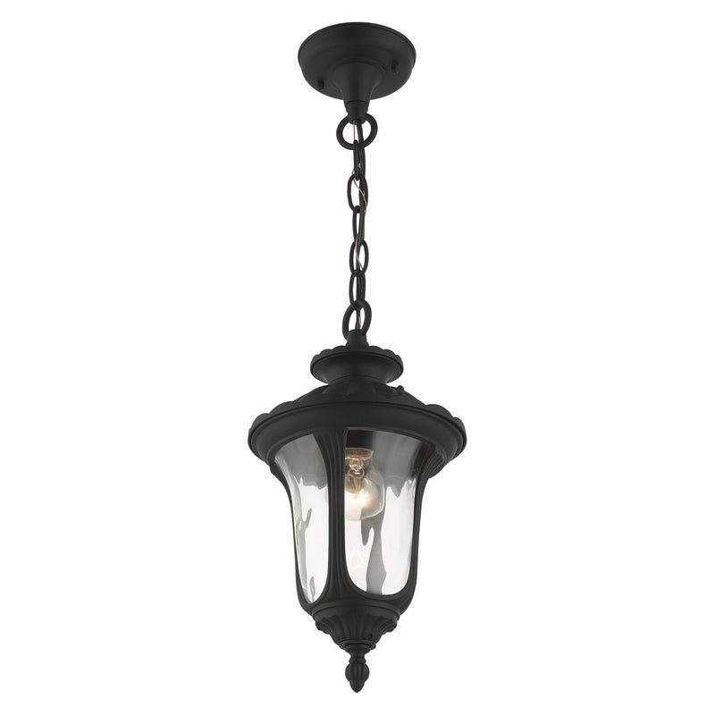 Livex Lighting 7849-14 One Light Outdoor Pendant, Textured Black