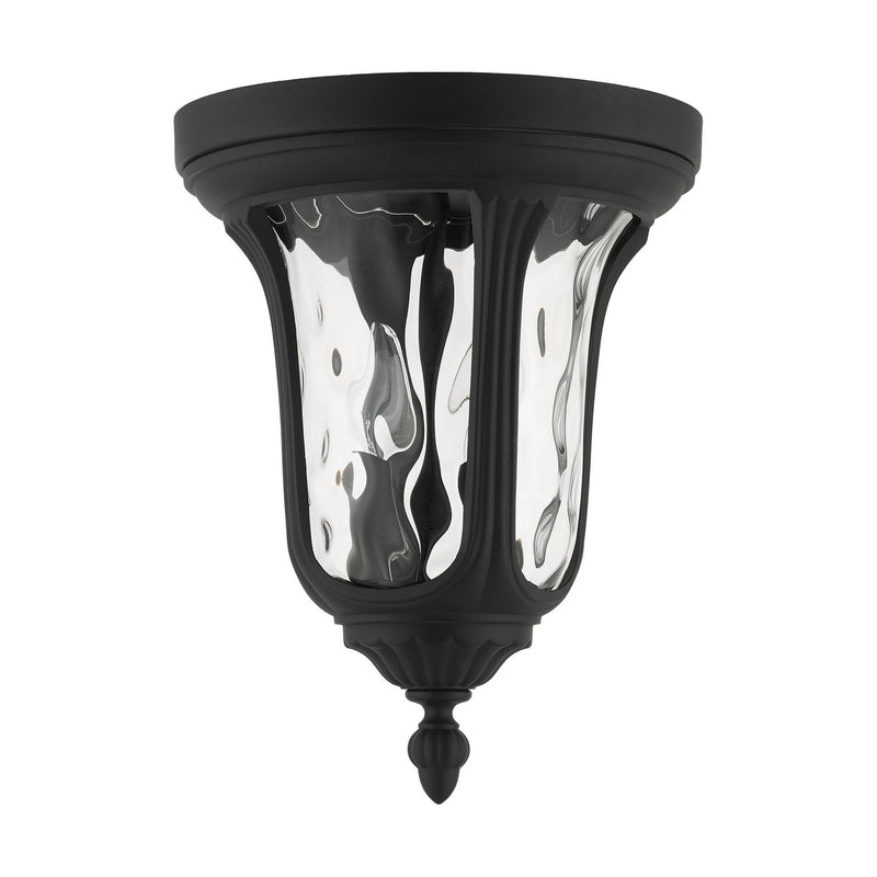 Livex Lighting 7861-14 Two Light Outdoor Ceiling Mount, Textured Black
