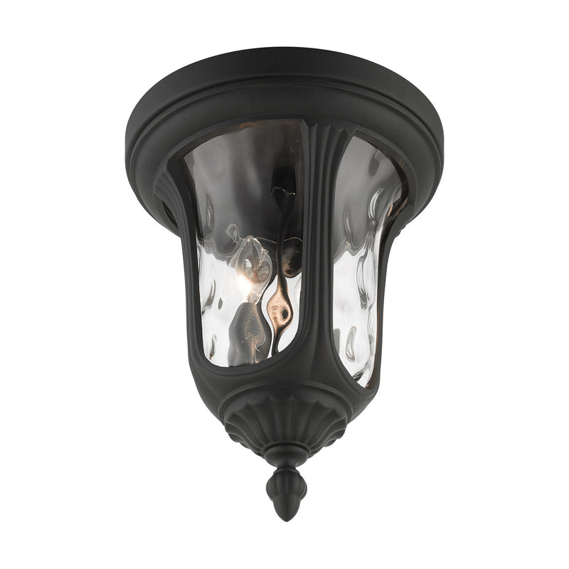 Livex Lighting 7861-14 Two Light Outdoor Ceiling Mount, Textured Black