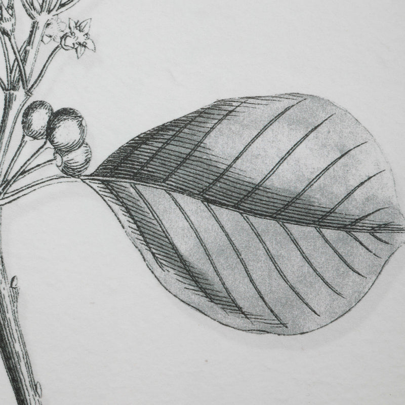 Uttermost 41617 Wall Art, Matte Black