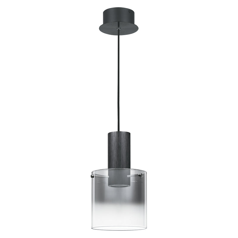 Quoizel PCKR1508EK LED Mini Pendant, Earth Black