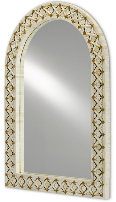 Currey and Company 1000-0089 Mirror, Natural Bone/Brass/Mirror