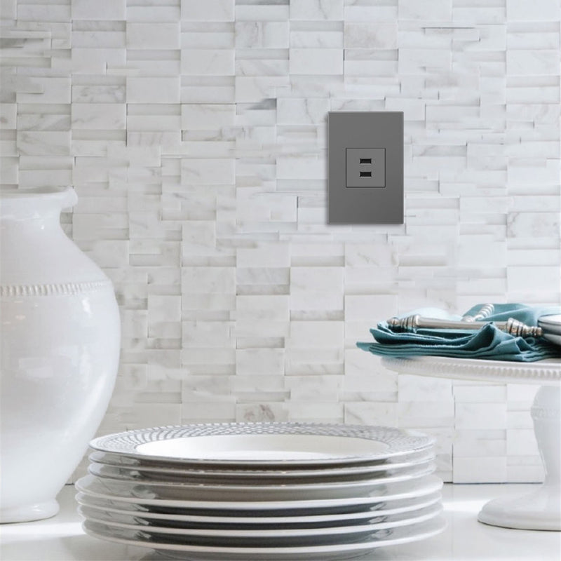 Legrand ARUSB2AA6M4 USB Type-A/A Outlet Module, Magnesium