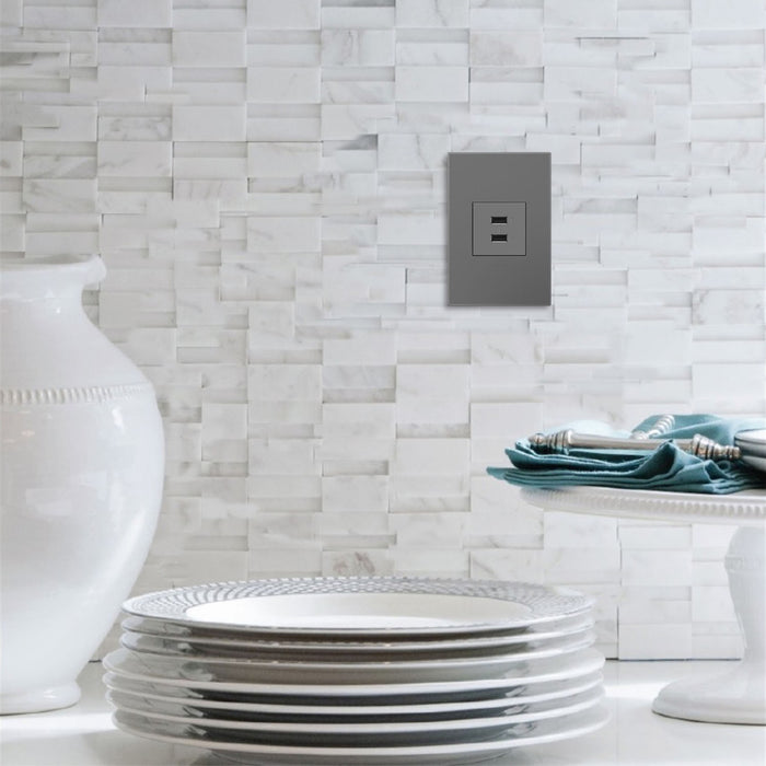 Legrand ARUSB2AA6M4 USB Type-A/A Outlet Module, Magnesium