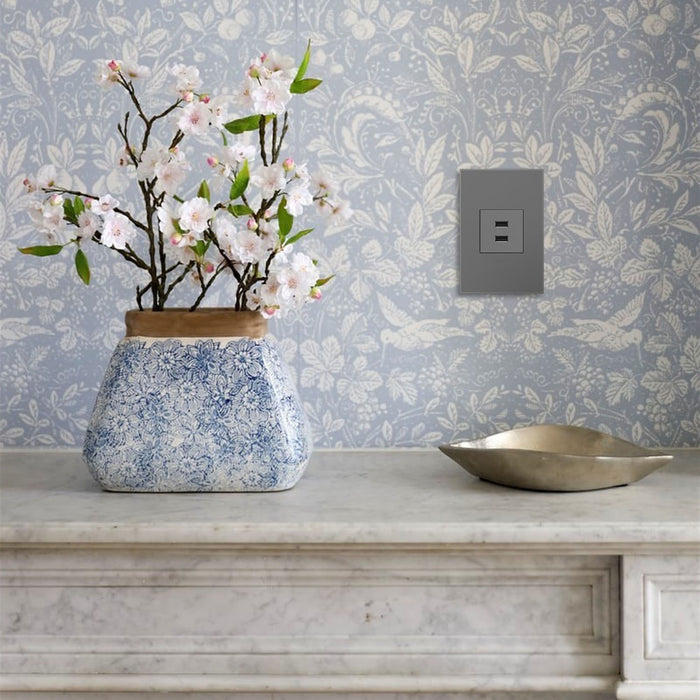 Legrand ARUSB2AA6M4 USB Type-A/A Outlet Module, Magnesium