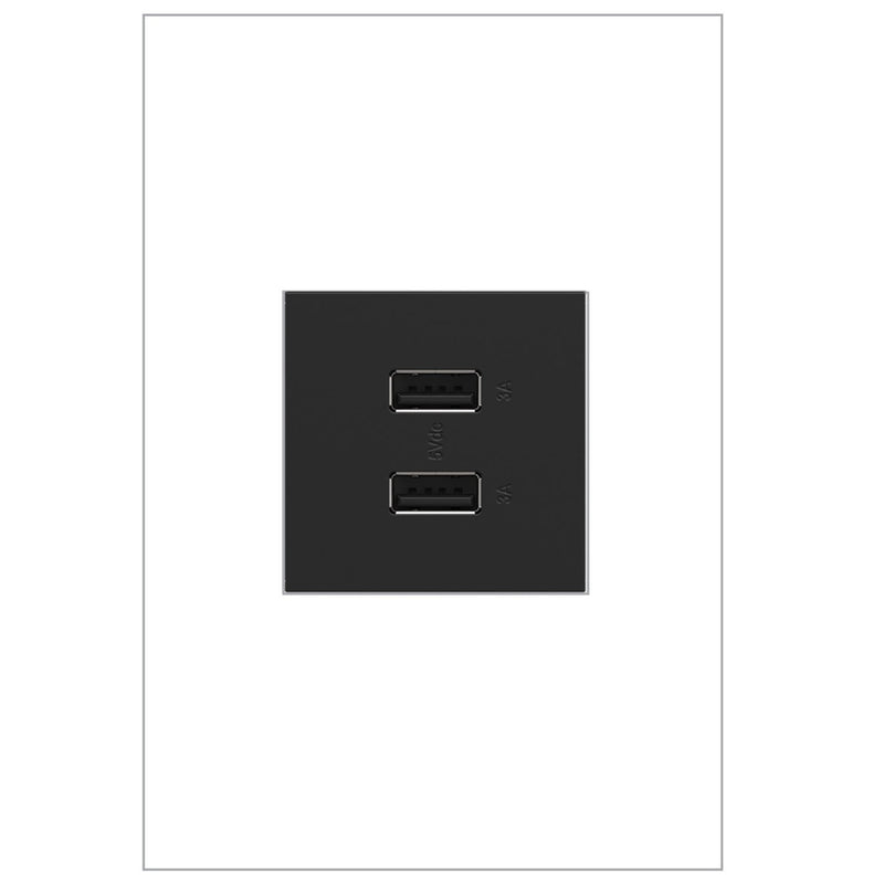 Legrand ARUSB2AA6G4 USB Type-A/A Outlet Module, Graphite