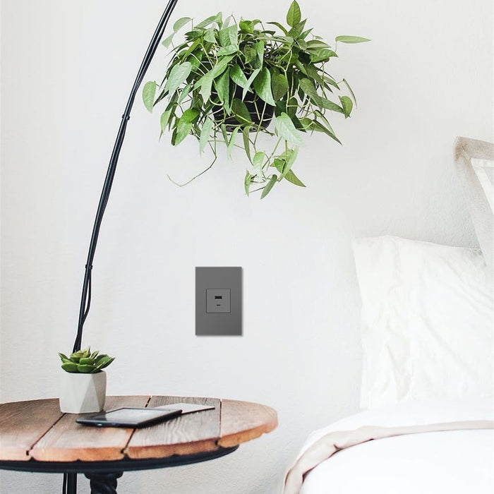 Legrand ARUSB2AC6M4 USB Type-A/C Outlet Module, Magnesium