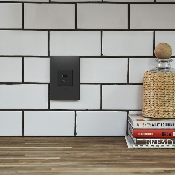 Legrand ARUSB2AC6G4 USB Type-A/C Outlet Module, Graphite