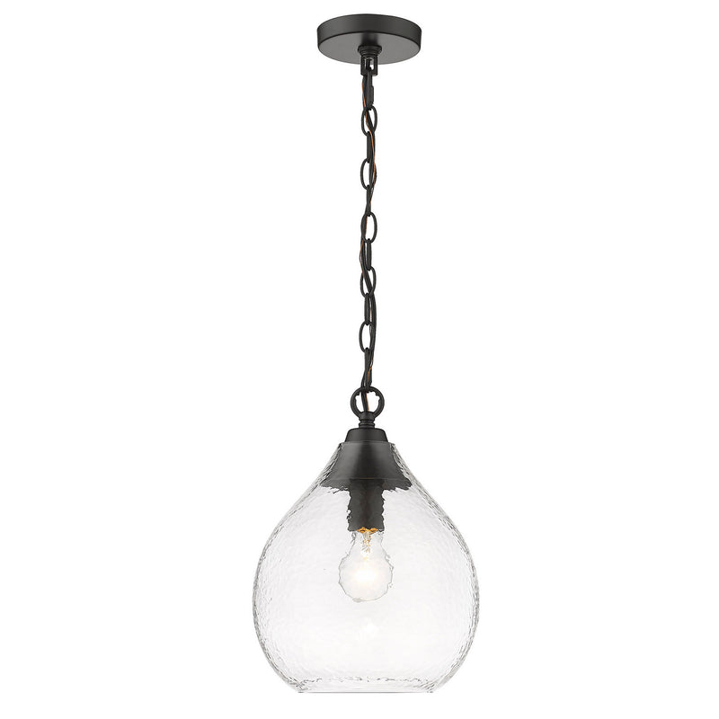 Golden 1094-S BLK-HCG One Light Pendant, Matte Black