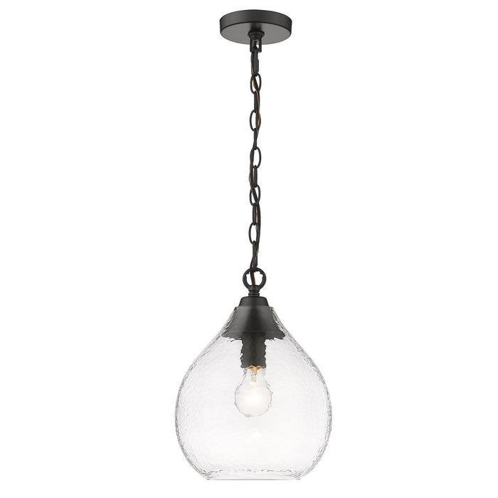 Golden 1094-S BLK-HCG One Light Pendant, Matte Black