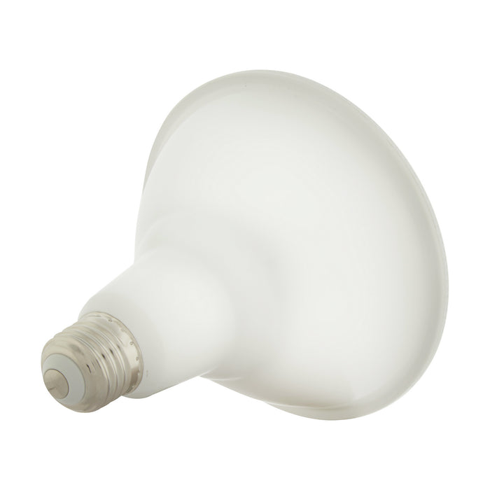 Satco S11258 Light Bulb, Clear