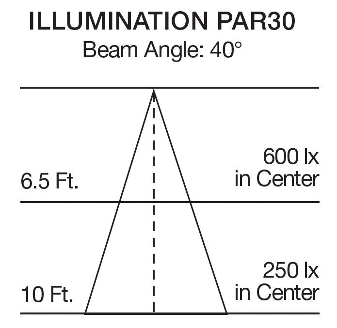 Satco S29765 Light Bulb, Silver