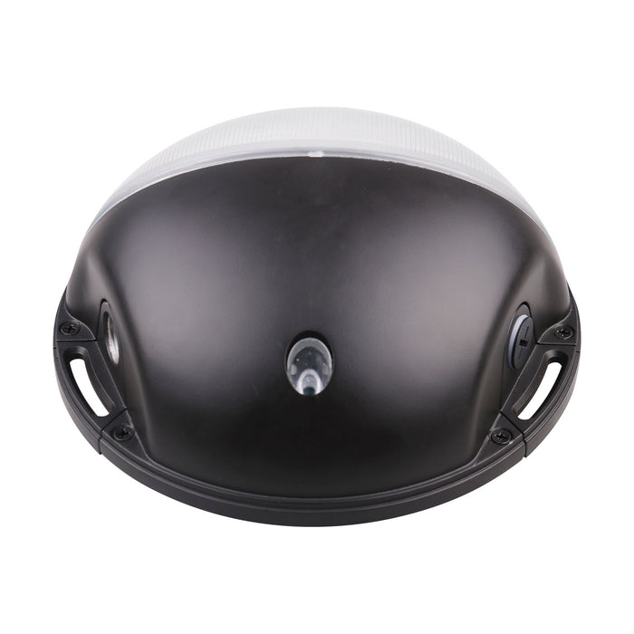 Nuvo Lighting 65-751 LED Wall Pack, Bronze