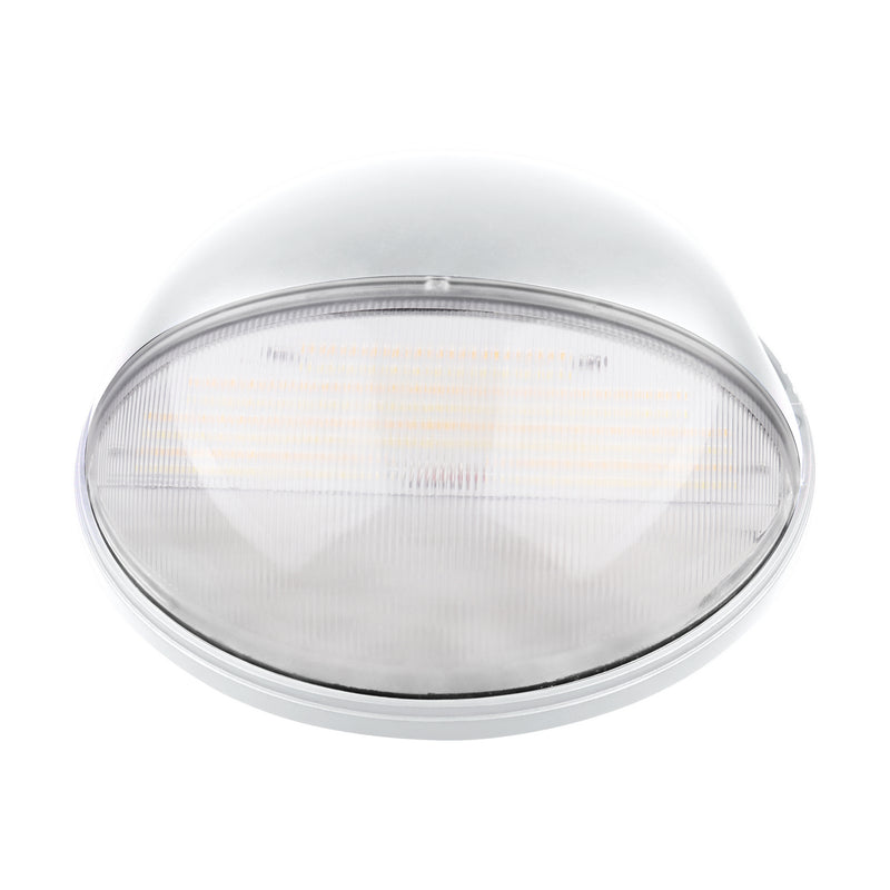Nuvo Lighting 65-752 LED Wall Pack, White