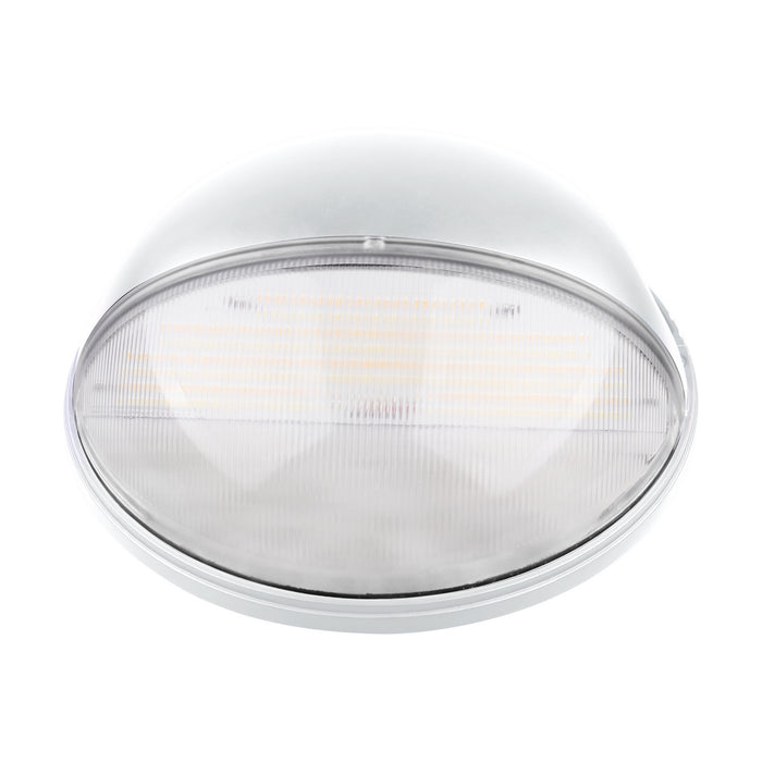 Nuvo Lighting 65-752 LED Wall Pack, White