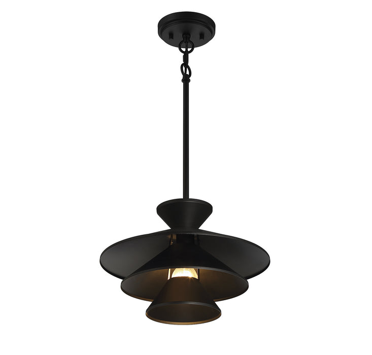 Meridian M70096MBK One Light Pendant, Matte Black