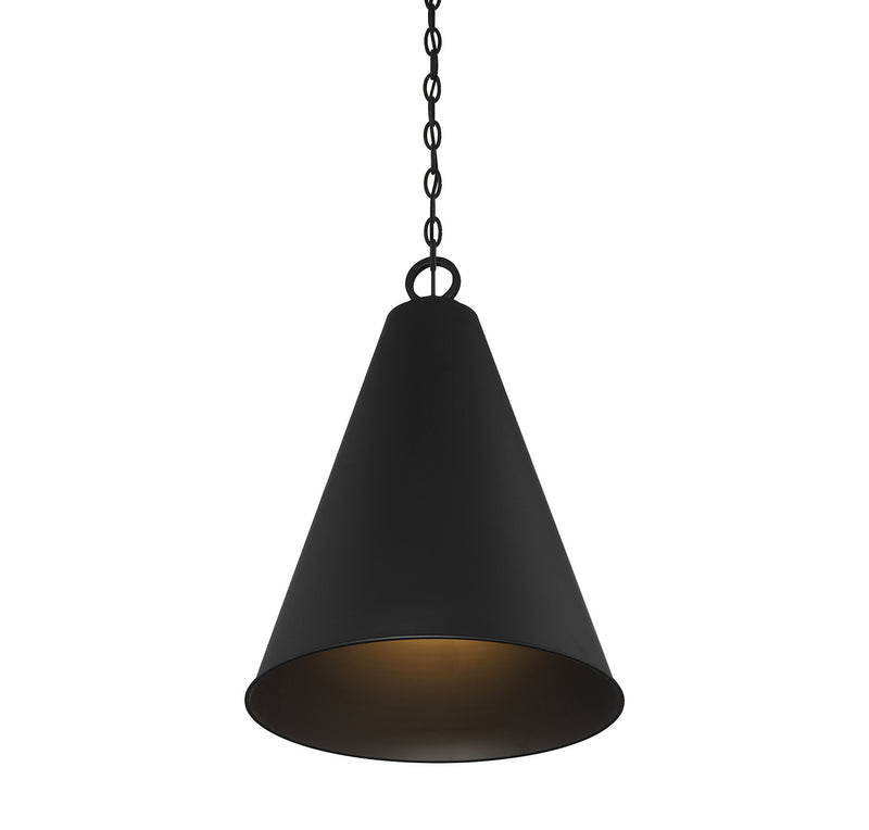 Meridian M70112MBK One Light Pendant, Matte Black