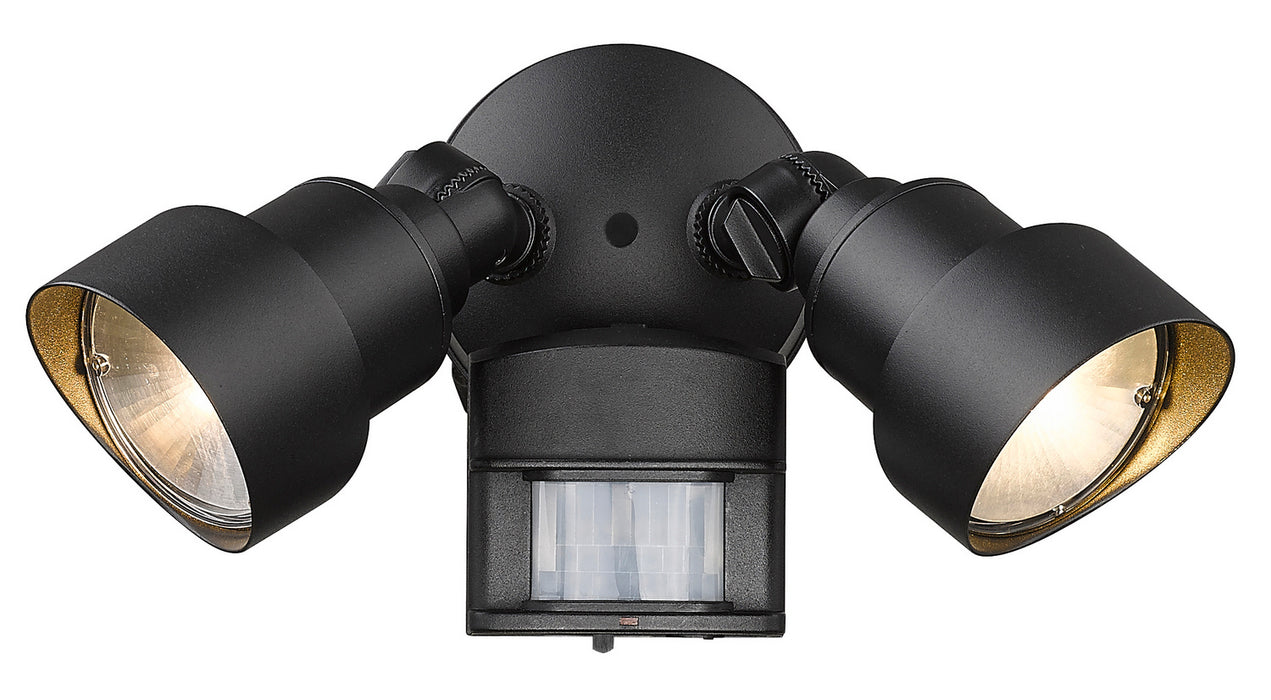 Acclaim Lighting LFL2BKM LED Floodlight, Matte Black