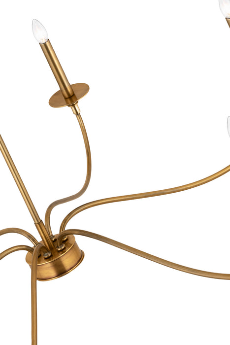 Z-Lite 2301-42RB Six Light Chandelier, Rubbed Brass