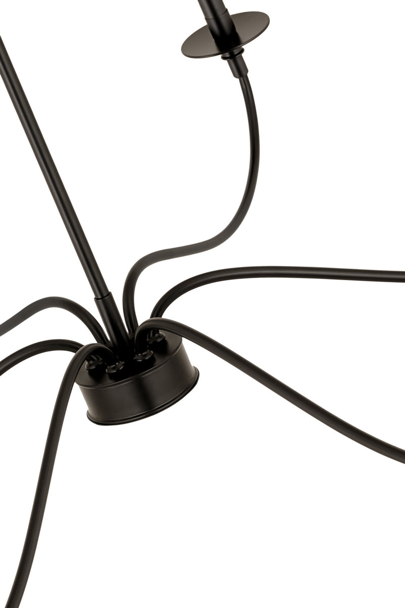 Z-Lite 2301-63MB Six Light Chandelier, Matte Black