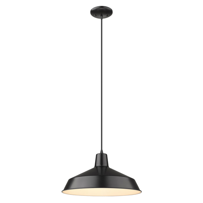 Acclaim Lighting IN31143BK One Light Pendant, Matte Black