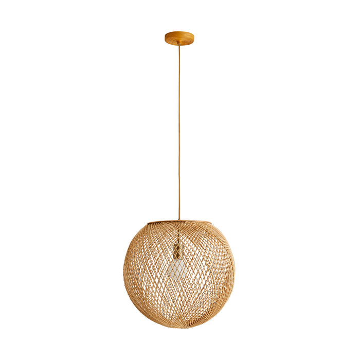 Arteriors 45629 One Light Pendant, Natural