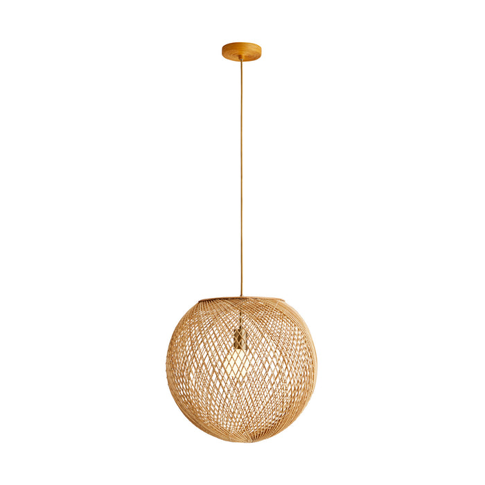 Arteriors 45629 One Light Pendant, Natural