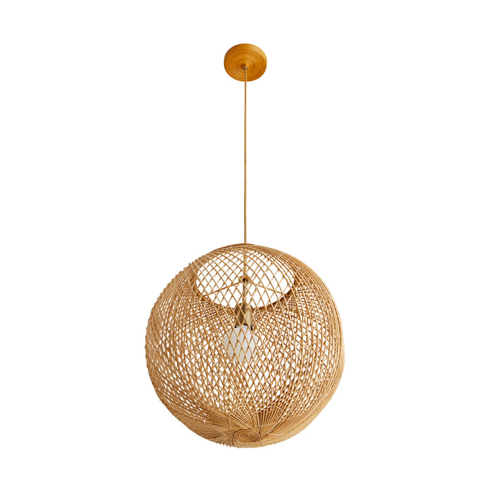 Arteriors 45629 One Light Pendant, Natural