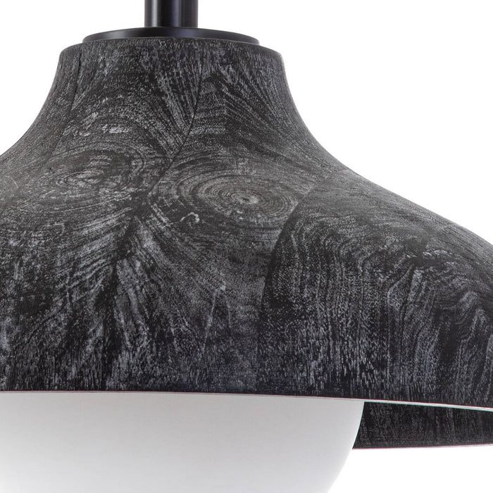 Regina Andrew 16-1349EB One Light Pendant, Ebony